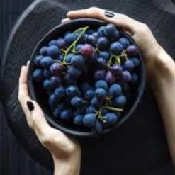 'Vanessa' Seedless Outdoor Grape Vine 5 'Vanessa' Seedless Outdoor Grape Vine -Plant Promotion Shop FRU0063 2