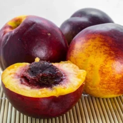 The 3 Best Fruits To Grow In Pots | Nectarine, Fig & Blueberry -Plant Promotion Shop FRU0140 1 561976aa 3a41 4efc bcd6 02411302aa0e
