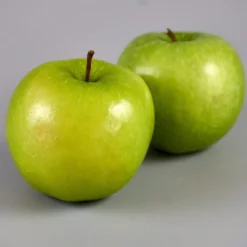Granny Smith Apple Tree -Plant Promotion Shop FRU0227 3