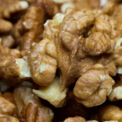 'Buccaneer' Walnut Tree -Plant Promotion Shop FRU0413 3