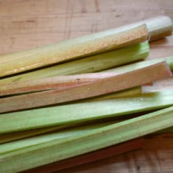 'Victoria' Rhubarb Plant 5 'Victoria' Rhubarb Plant -Plant Promotion Shop VEG0187 3