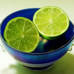 Lime Tree | Lime Of Tahiti | Grafted Mini-Stem 7 Lime Tree | Lime Of Tahiti | Grafted Mini-Stem -Plant Promotion Shop limetree4